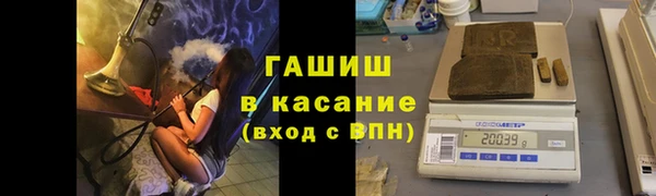 стафф Арсеньев