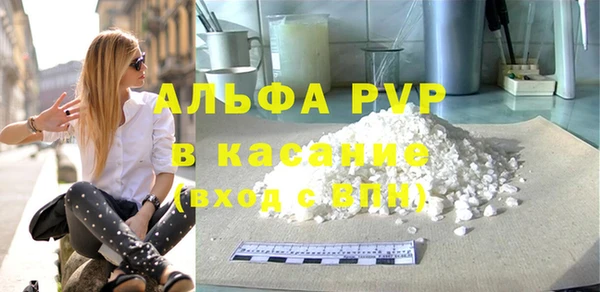 стафф Арсеньев