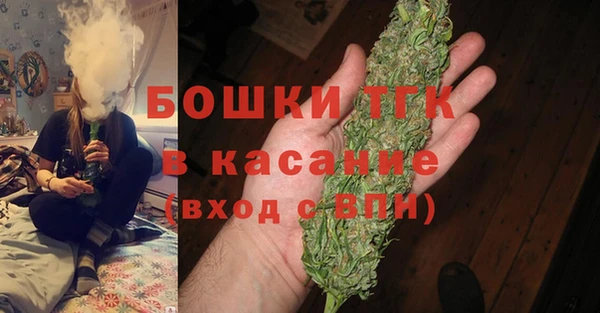 стафф Арсеньев